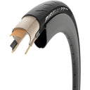 P7 Sport Tire - Folding - Clincher - Black