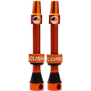 Tubeless Presta Valve Set
