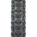Warwick Tire