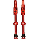 Big Bore Lite Tubeless Valve Stems