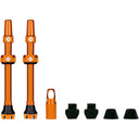 V2 Tubeless Valve Kit - Pair