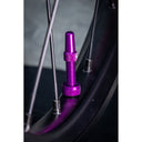 V2 Tubeless Valve Kit - Pair