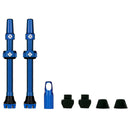 V2 Tubeless Valve Kit - Pair