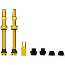 V2 Tubeless Valve Kit - Pair
