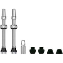 V2 Tubeless Valve Kit - Pair