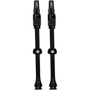 V2 Tubeless Valve Kit - Pair