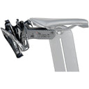 Aero Carbon Wing