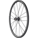 Racing Zero Carbon Cmptzn DB Rear Wheel - 700 - Center-Lock - 12 x 142mm - Black - 12mm Thru x 142mm - Center-Lock Disc - 19mm internal - Tubeless Ready Clincher