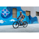 Level 4 REC Step-Through Ebike