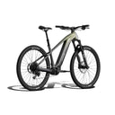 Ramblas ADV Ebike