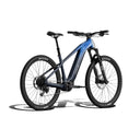 Ramblas ADV Ebike